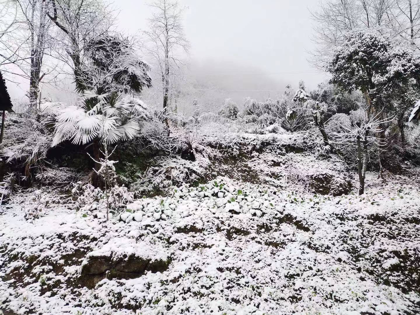 贵州12县域内出现小雪或雨夹雪