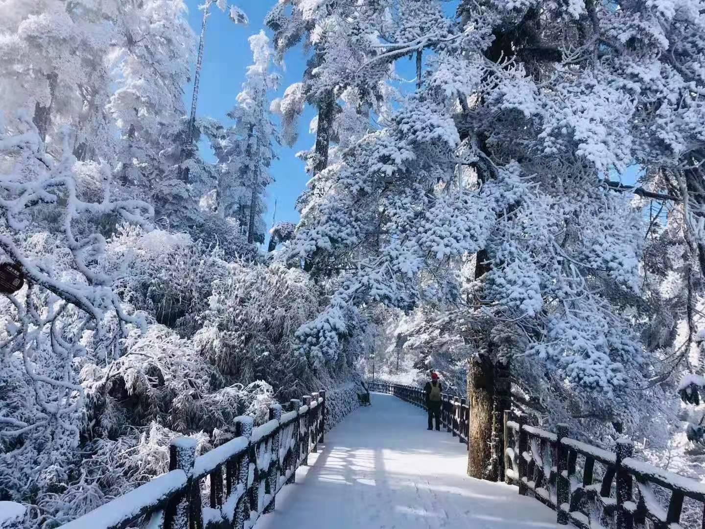 洪雅瓦屋山雪景图片图片