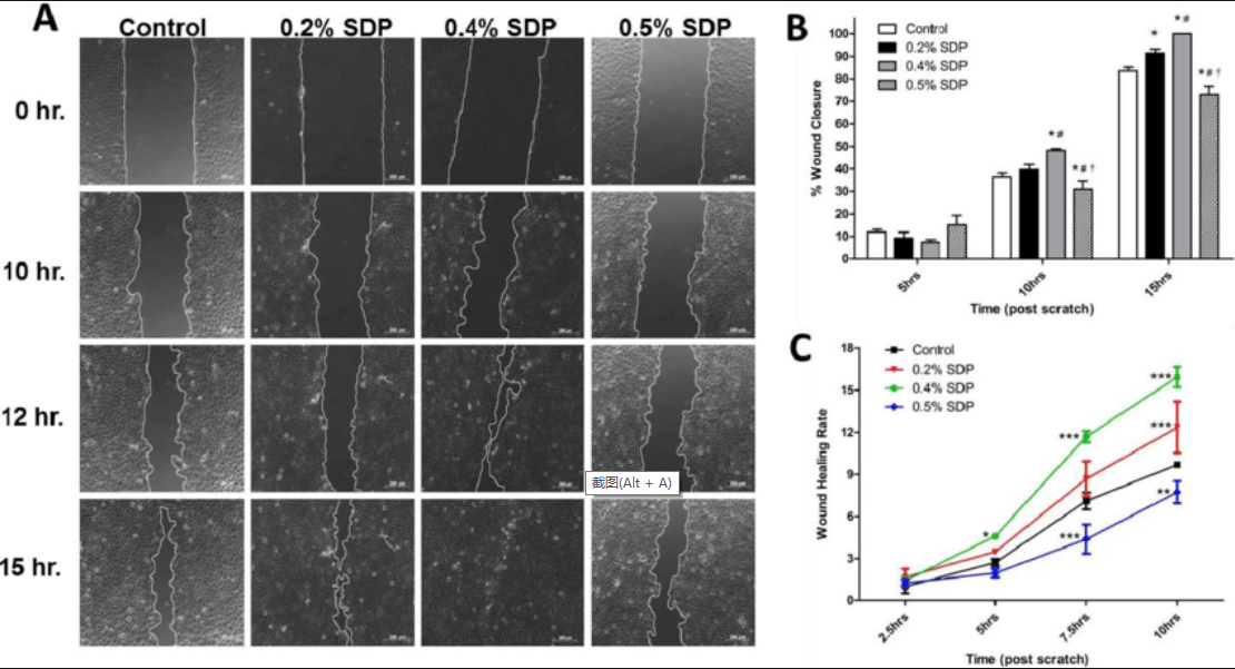 细胞划痕实验结果图图片