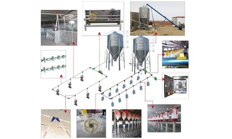 關於豬場自動化料線的使用和分類