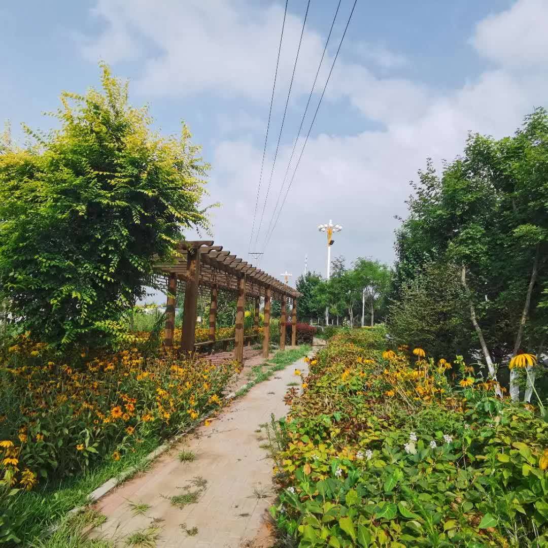 点赞甜水镇全国一村一品示范村镇