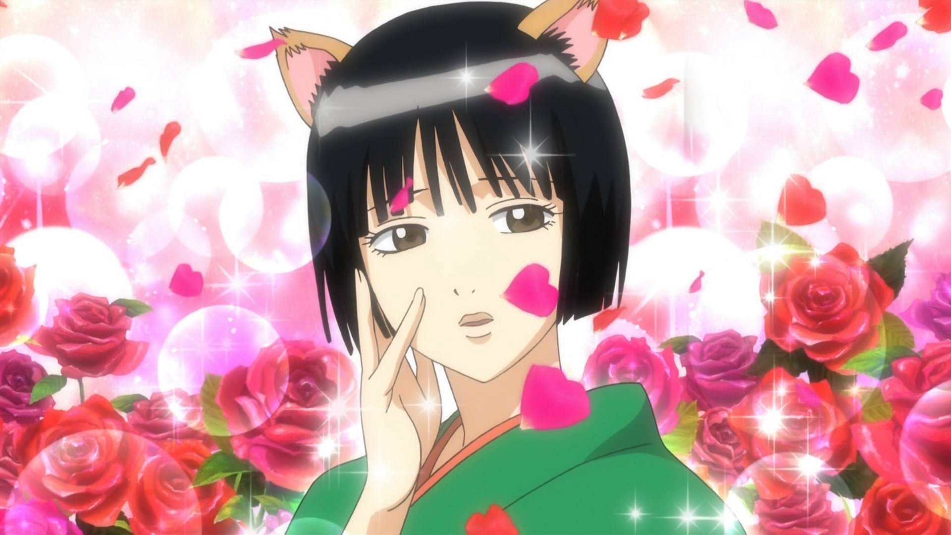 动漫中的猫耳角色,你认为最可爱的是哪一个呢?_猫娘