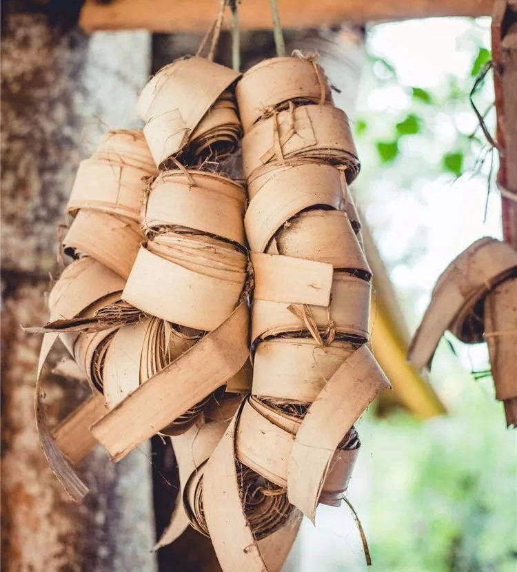 树叶上的傣族历史贝叶经的制作过程让人惊叹