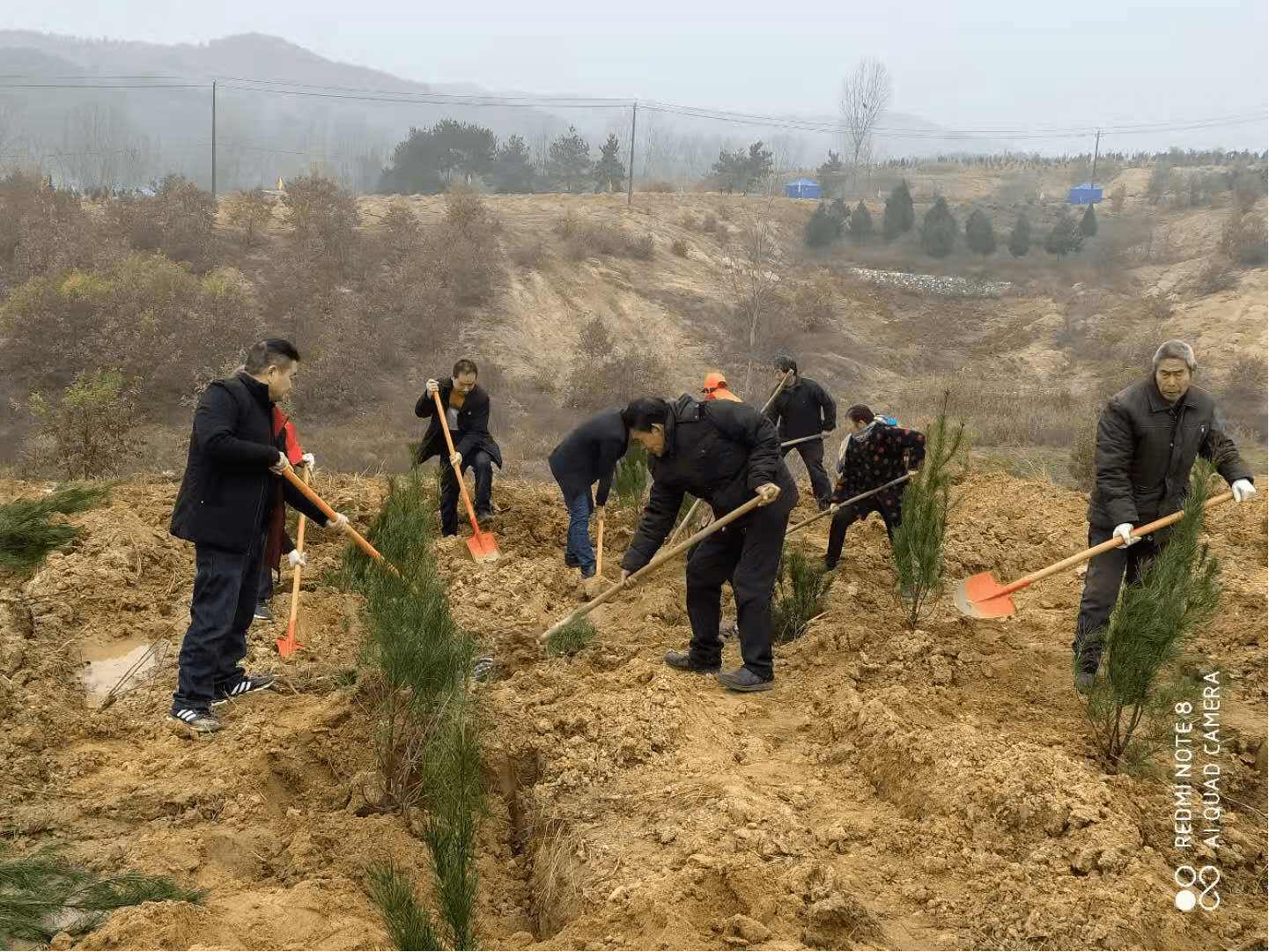 卧龙区潦河坡镇:深化两山理论实践 巩固脱贫攻坚成果,推进乡村全面