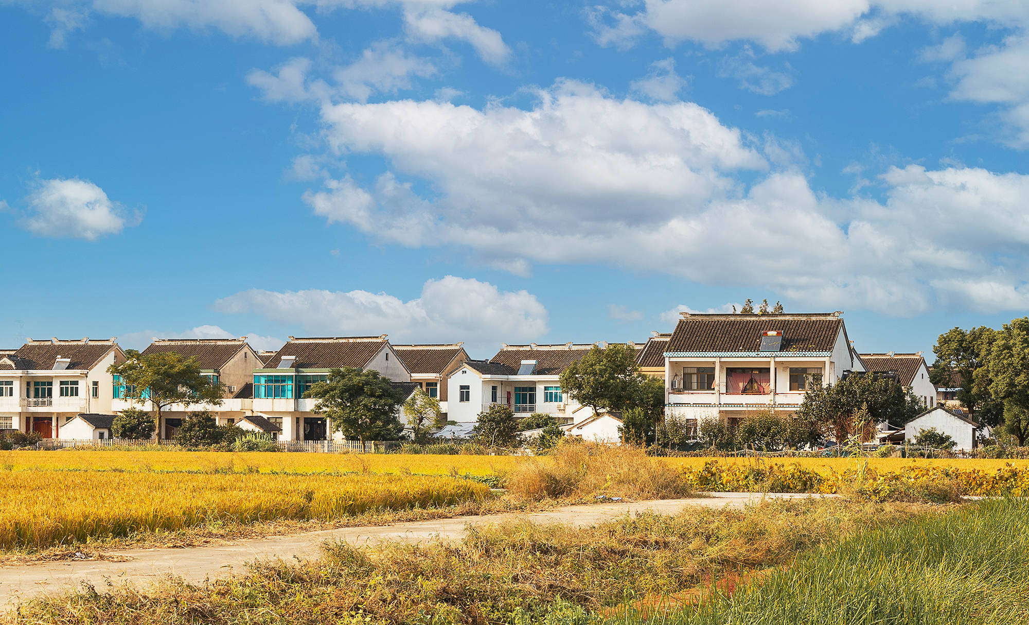 江苏这座最有钱的城市还有乡愁吗带你去看姑苏城外的田园牧歌