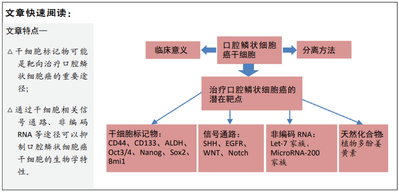 口腔鱗狀細胞癌幹細胞的治療靶點及應用前景