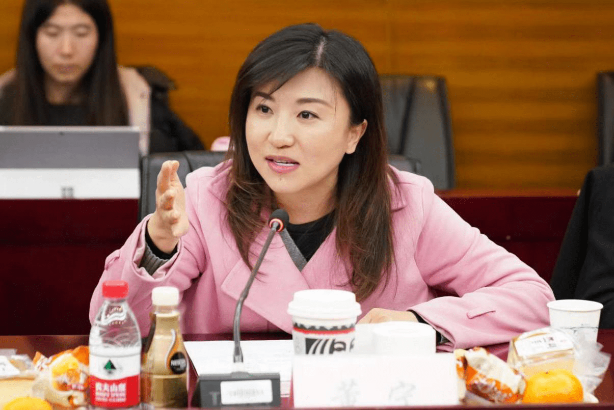 北京演艺集团总经理助理,北京歌剧舞剧院董事长董宁主要从北京市角度