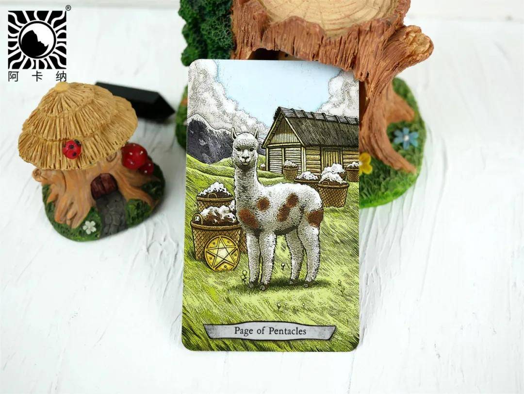 阿卡纳进阶塔罗师不可忽略的6副动物智慧系塔罗牌经典
