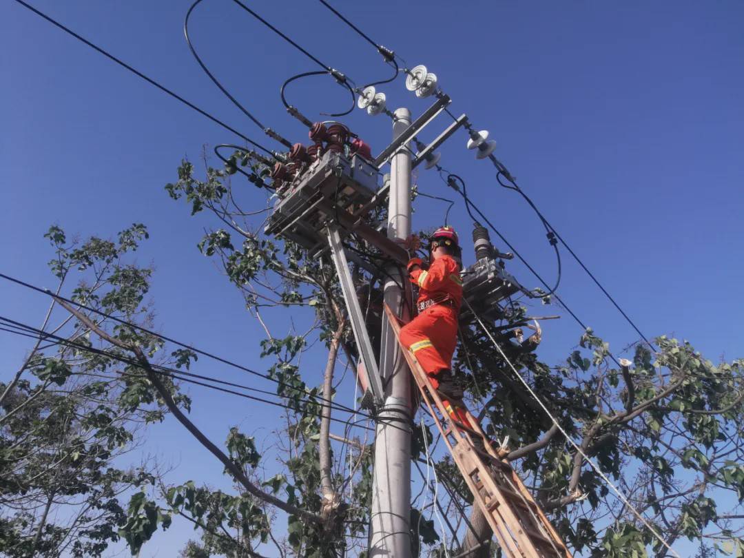 這類電工具有國家電監部頒發的電工進網作業許可證,是國家認可的高