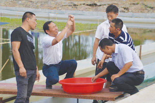 高淳青松水产合作联社:当好农户的致富"孵化器"