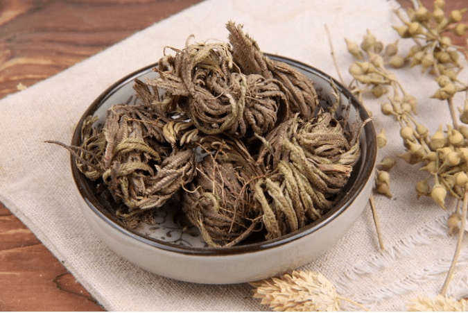 每天学习一味中药——卷柏