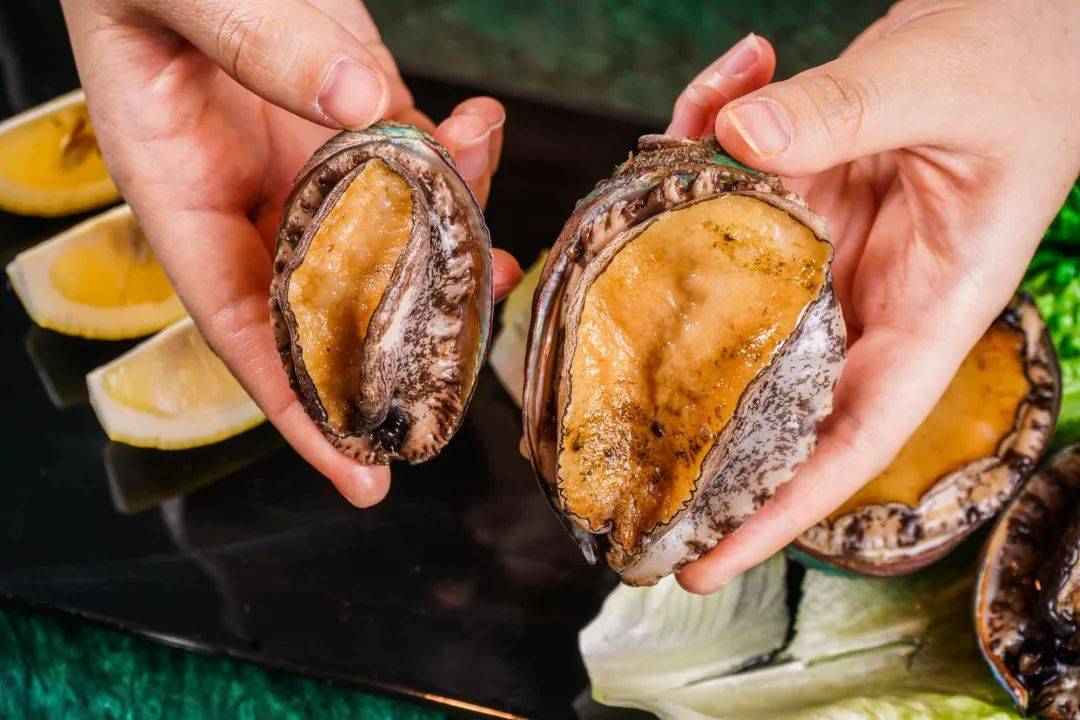 身材壮硕的六头鲍