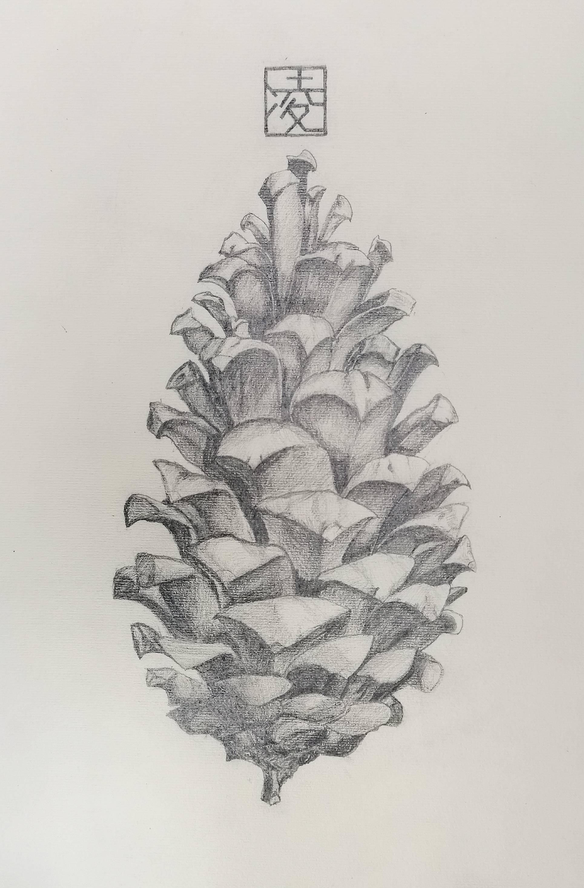 2020纯真筑童年第二届青少儿书画艺术大赛作品展示第十六集