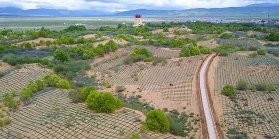 "新生"沙漠变绿洲,从黄河水被引进内蒙古沙漠开始_手机搜狐网