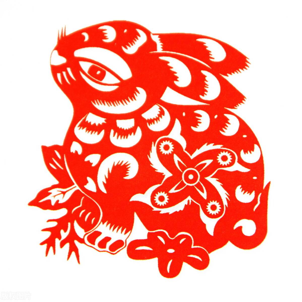 12月中旬,生肖兔"大喜预报"千载难逢,家有属兔的出来接喜了_手机搜狐