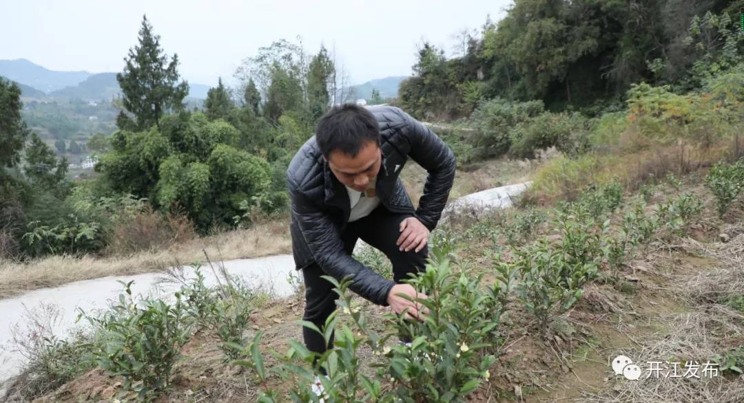 四川开江:80后退伍军人 群众致富的"领头雁"_任毅