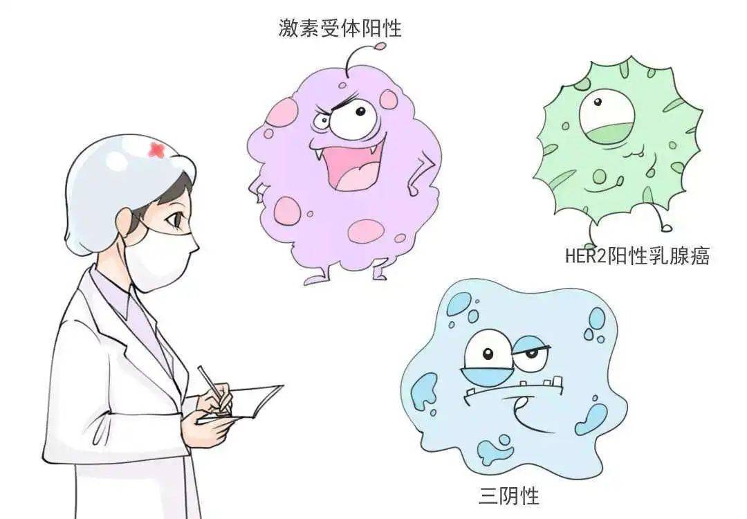 蔬果当中都含有雌激素,而且本身女性压力较大,也会导致雌激素分泌紊乱