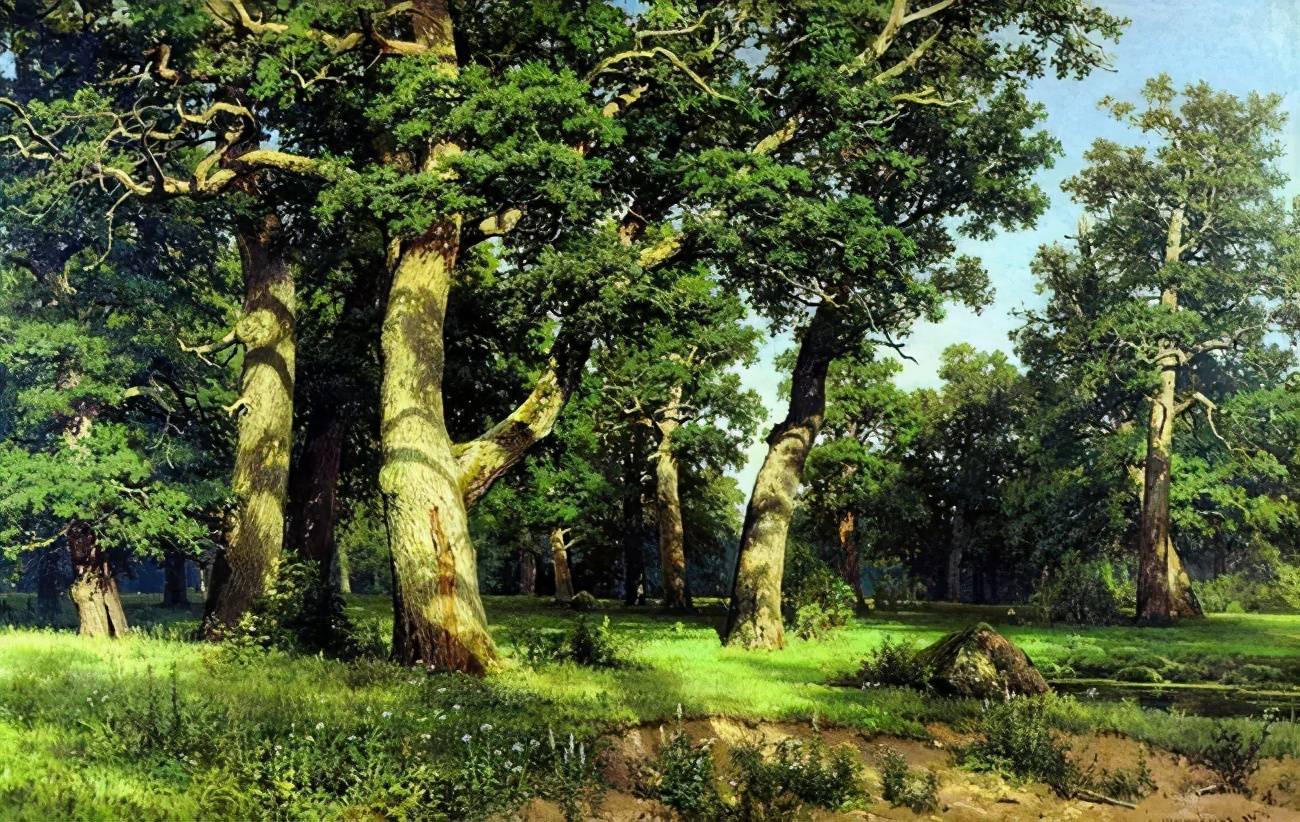 俄罗斯杰出风景画家希施金的油画作品诗一般的境界