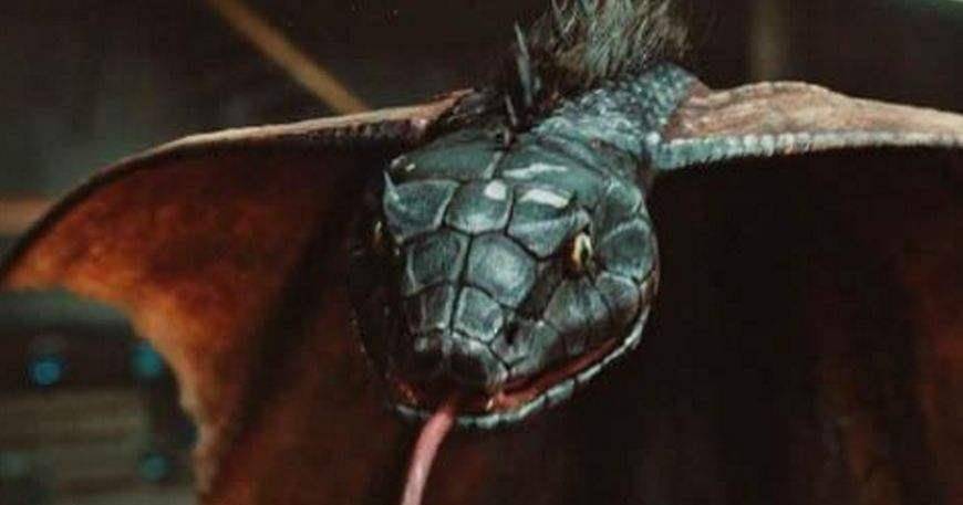 《终极笔记》野鸡脖子,蛇母,金鳞巨蟒,黑毛蛇的关系