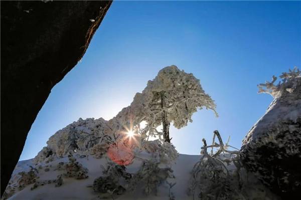 如果不是亲眼所见，你绝对想不到天柱山的冬天有多美！