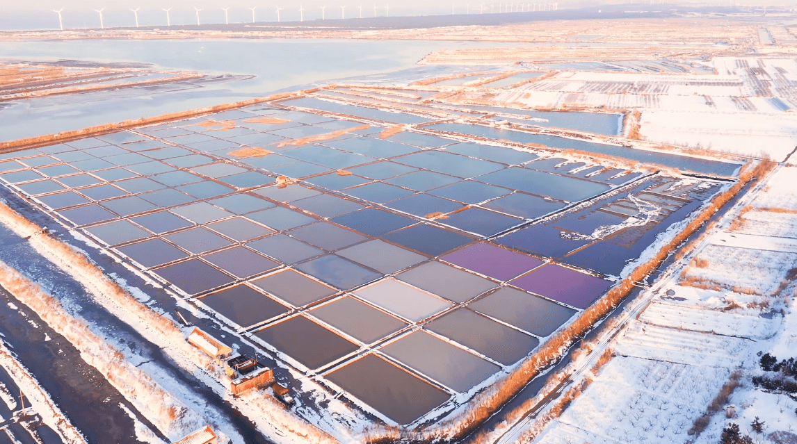 荣成五彩盐田遇上皑皑白雪,美成了诗