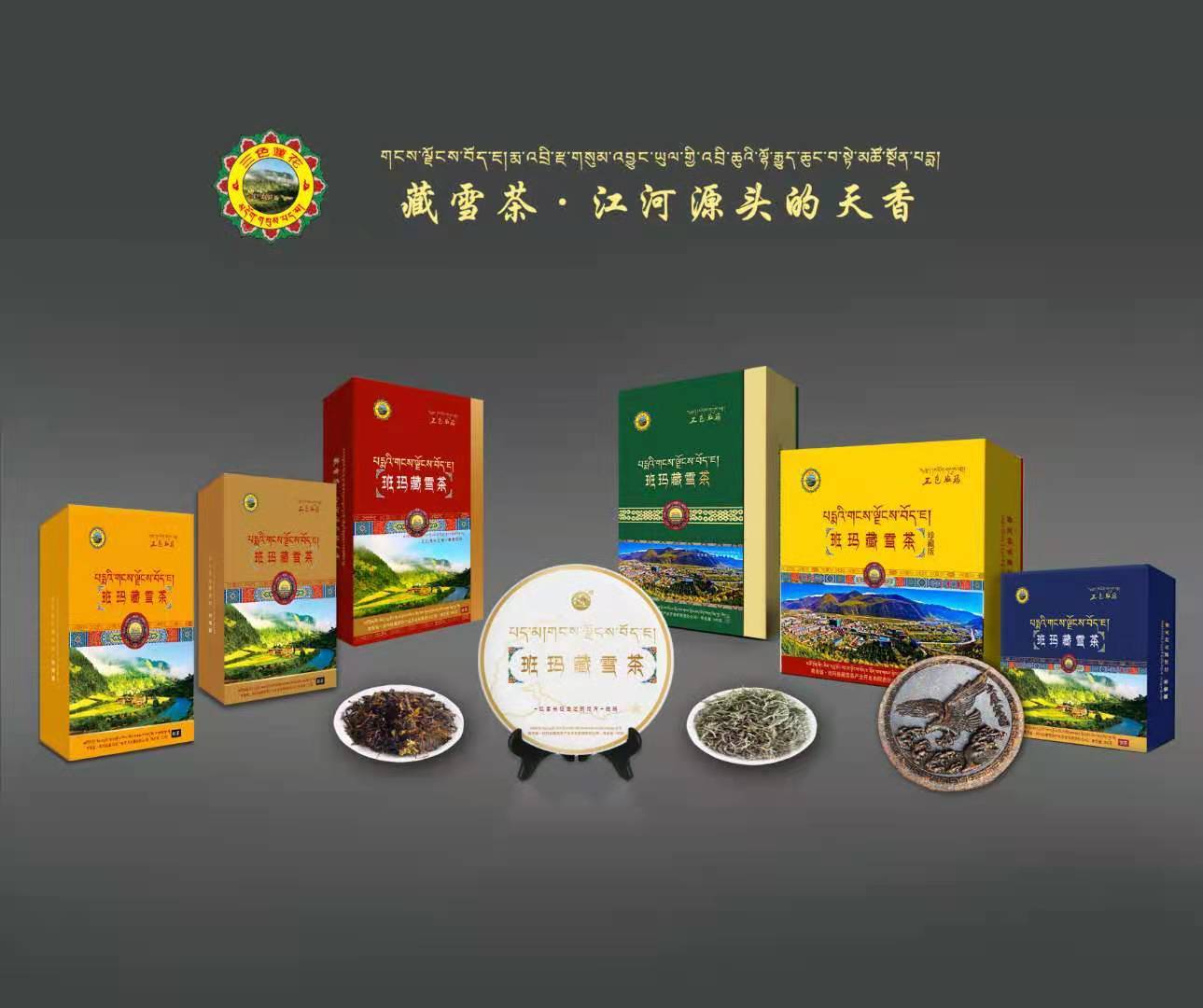 青海班玛藏雪茶远销国外,走出致富新路子