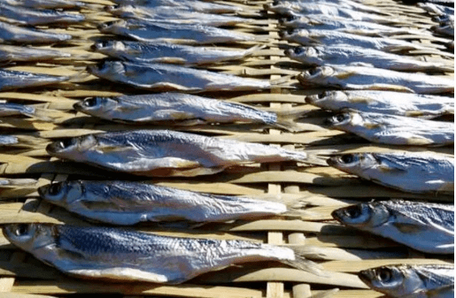 长得酷似白条繁殖力强40年前满湖都是今养殖的千元1公斤