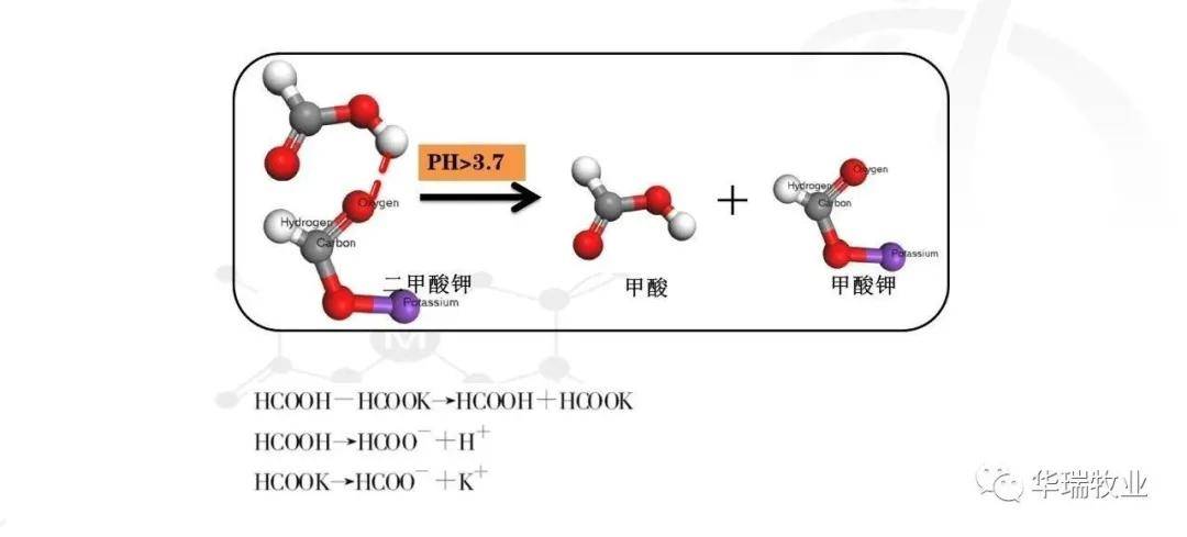 饮料,食物和药物中的甲基化分子可以在肝脏中脱甲基,释放出甲醛,随后