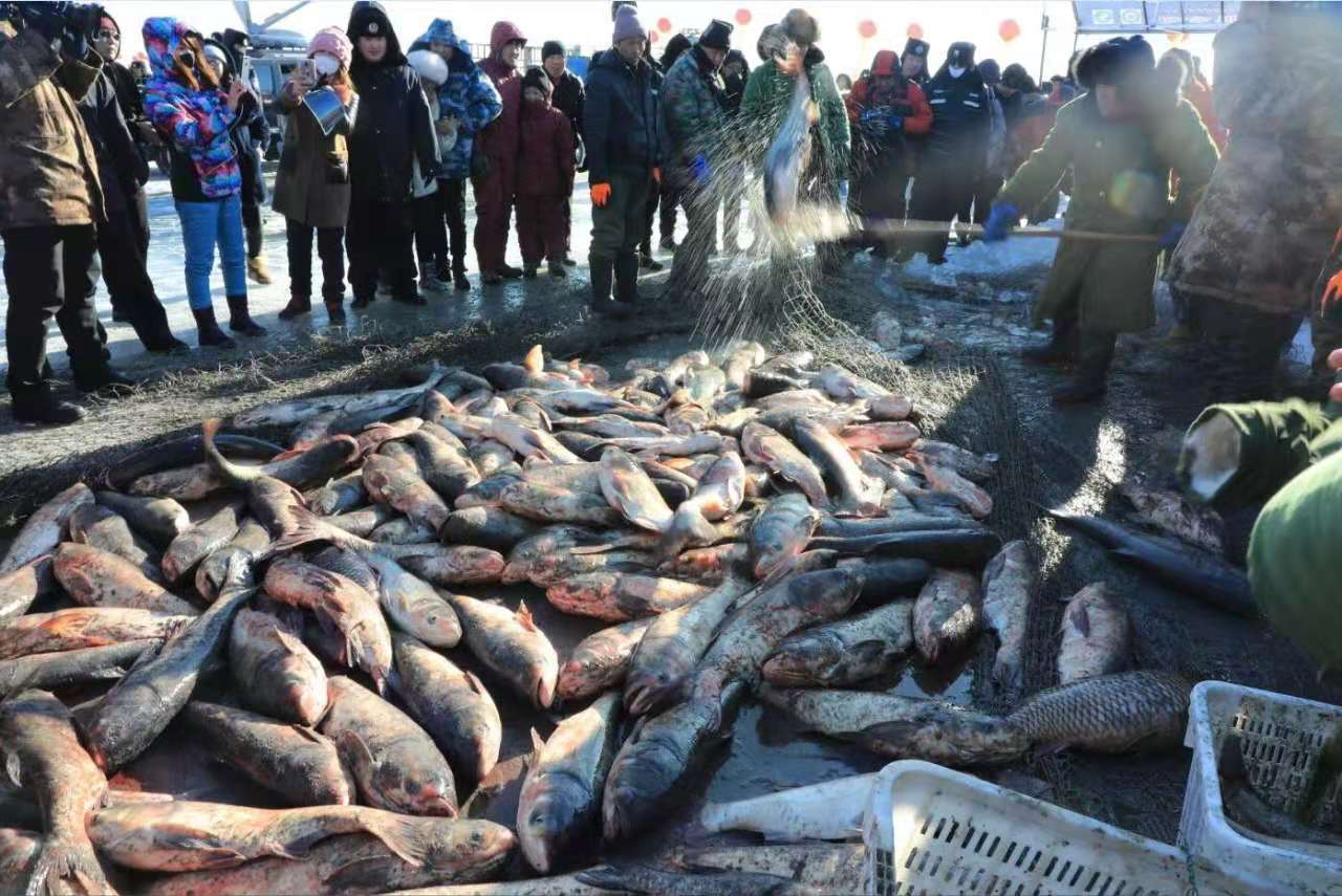 大庆连环湖第五届冰雪渔猎那达慕活动将于12月26日开幕