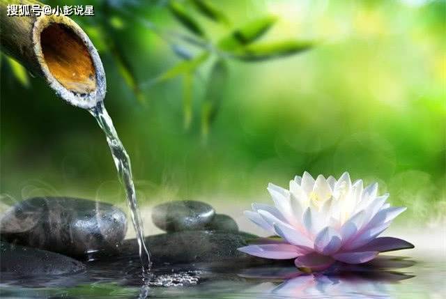 12月末运势增旺横财旺盛有贵人指点喜事一连串的生肖