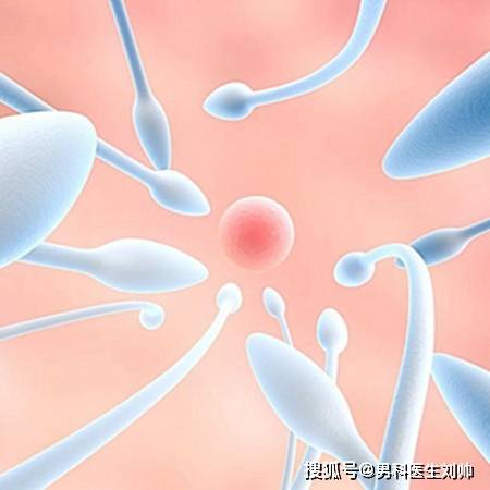 男女生殖系统填空(简述男女生殖系统组成)-第2张图片-鲸幼网
