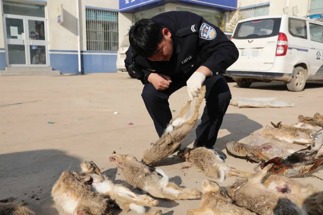 田地之间撵野兔就因为好这口涉嫌刑事犯罪