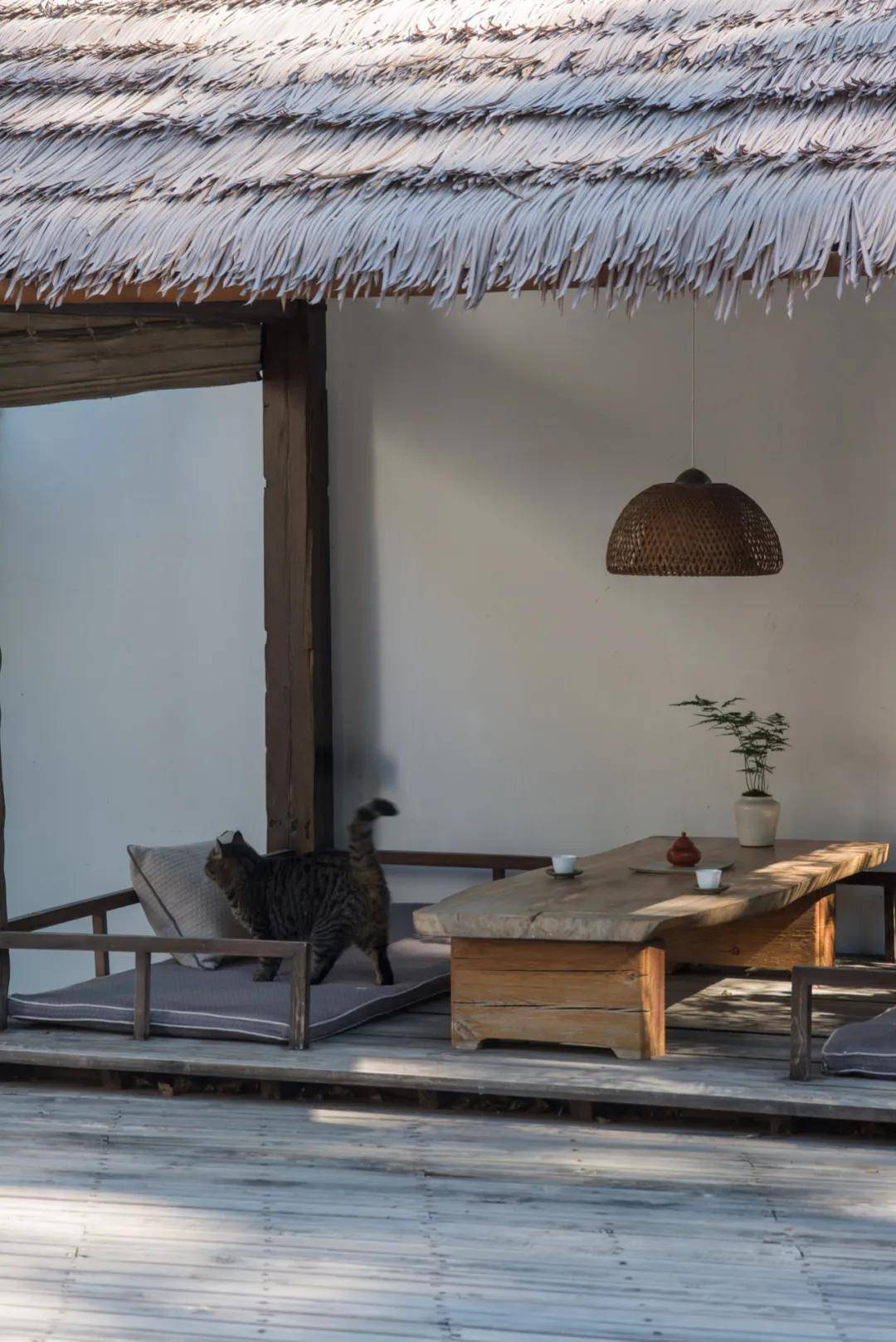 山水印|竹林野茶:年底了,一杯茶敬帮过我的贵人-黄山茶馆-市民网