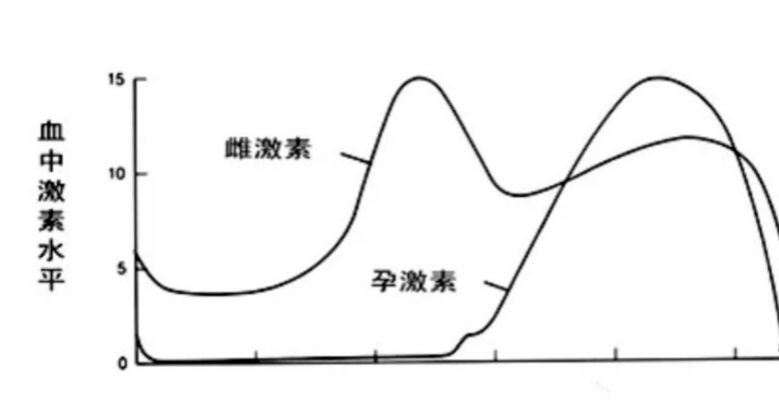 这几个身体细节,都在提示:你老了!_雌激素