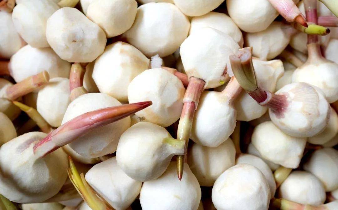 你知道茨菰吗中国哪里的茨菰最好吃