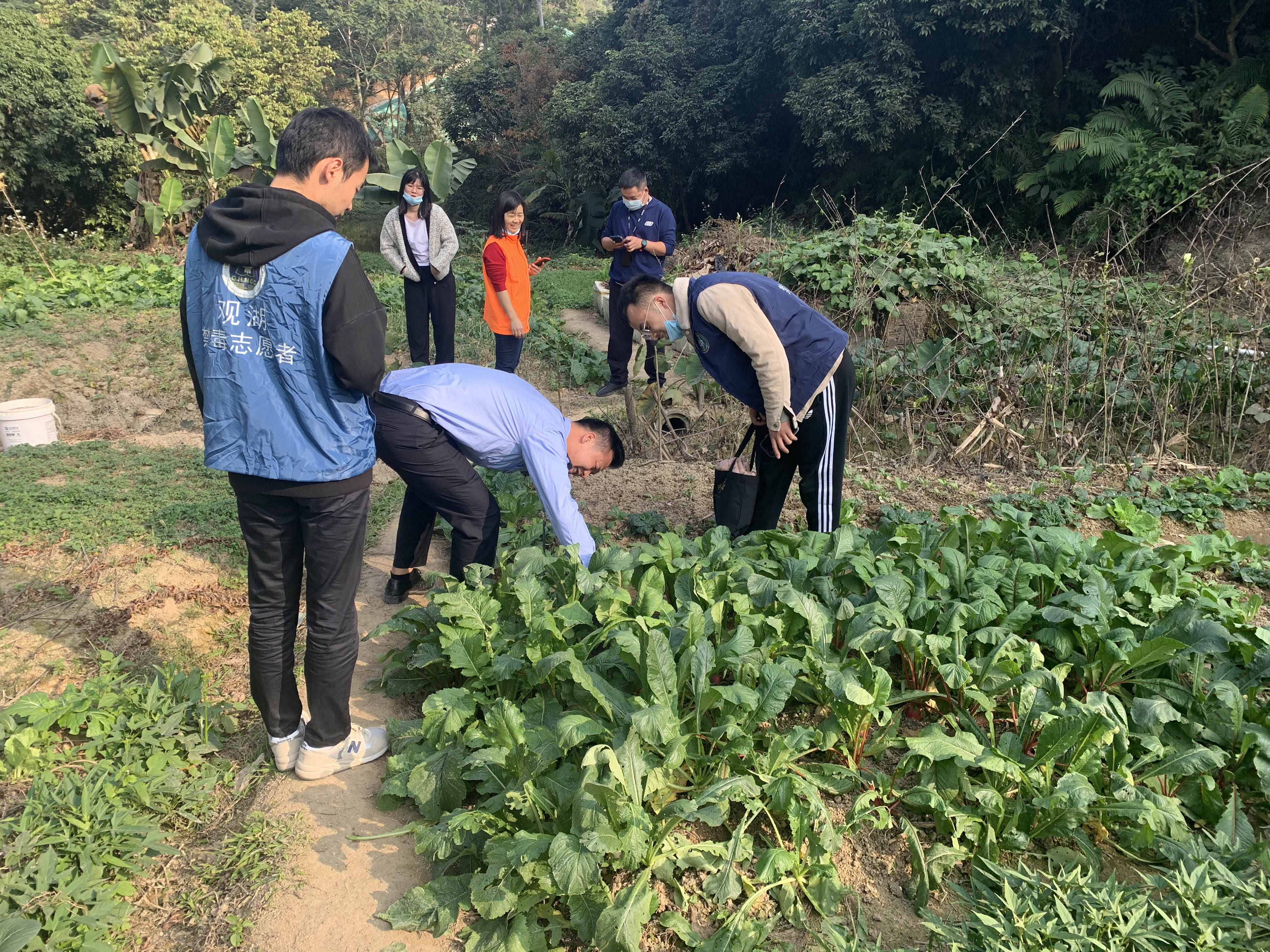 坡地等易出现种植毒品原植物地进行踏查开展拉网式排查,确保辖区铲毒