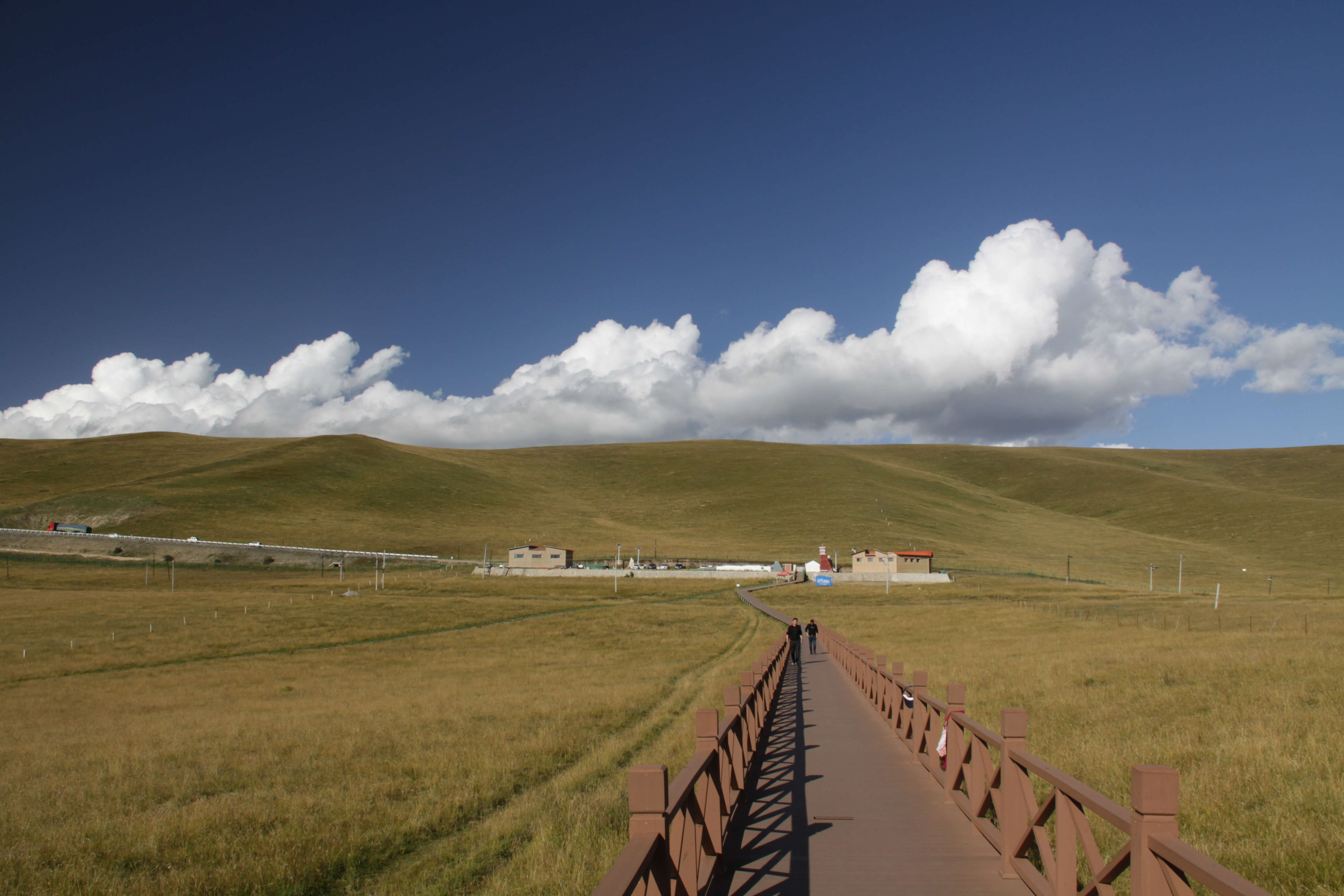 哈密瓜游记,环西北自驾游第8站,甘南碌曲的山美,水美,草依依_草原