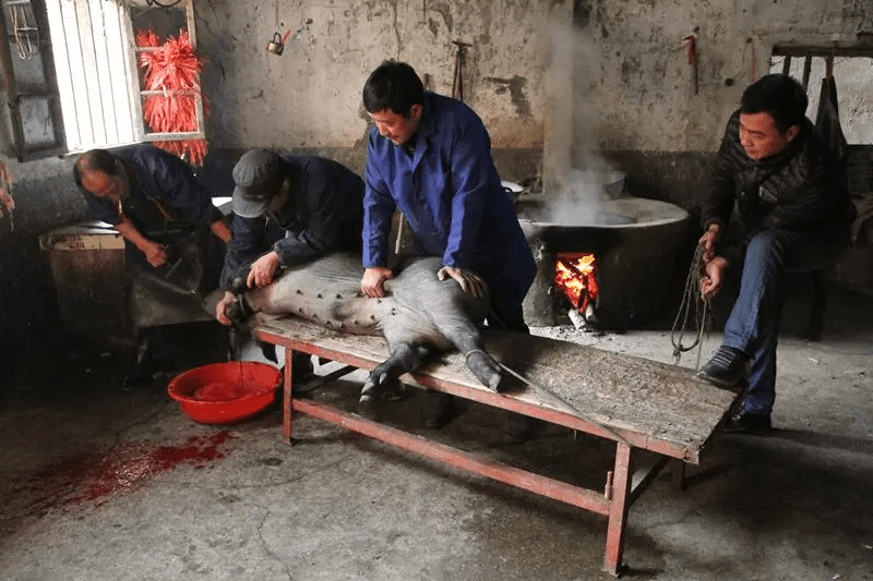 快过年了,也就快杀年猪了,是我以为至今吃过的最美味的东西