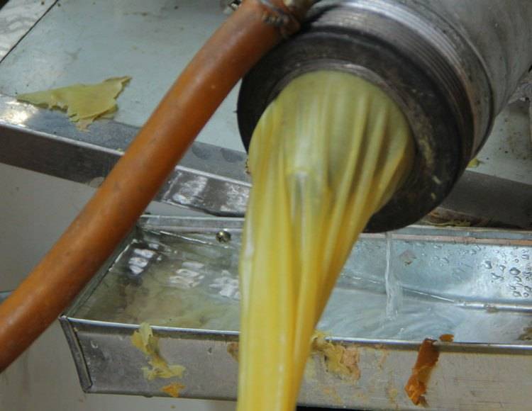 这种常见的"人造肉",以前没钱天天想吃,蛋白质含量比牛肉还高_因为