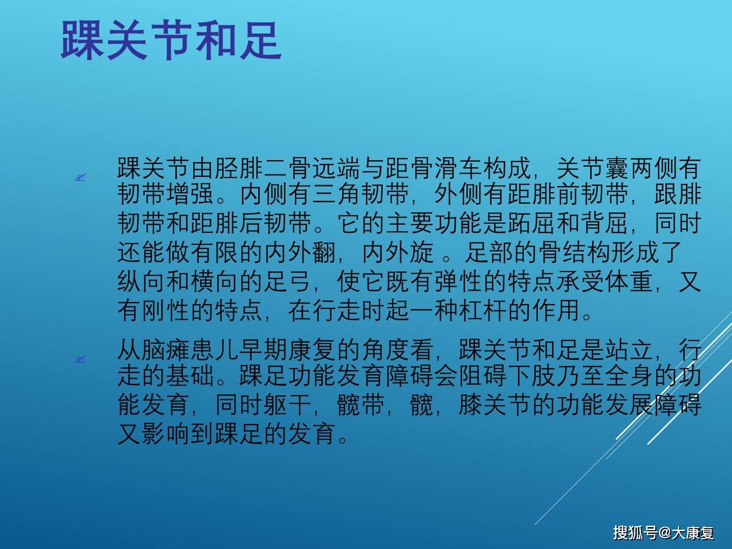 姿势和运动功能的分析和评价