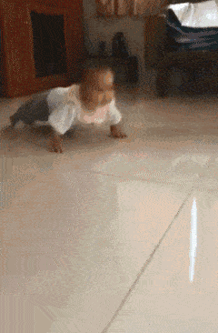 240_366竖版 竖屏gif 动态图 动图