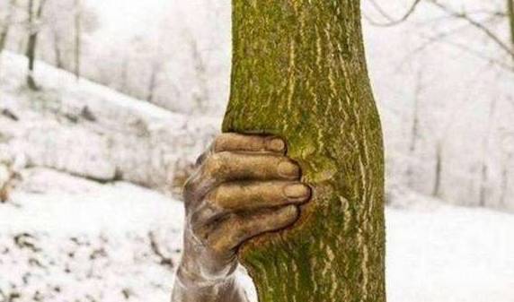 全球最特别的“三只手”，一只在沙漠，一只握树，一只在中国