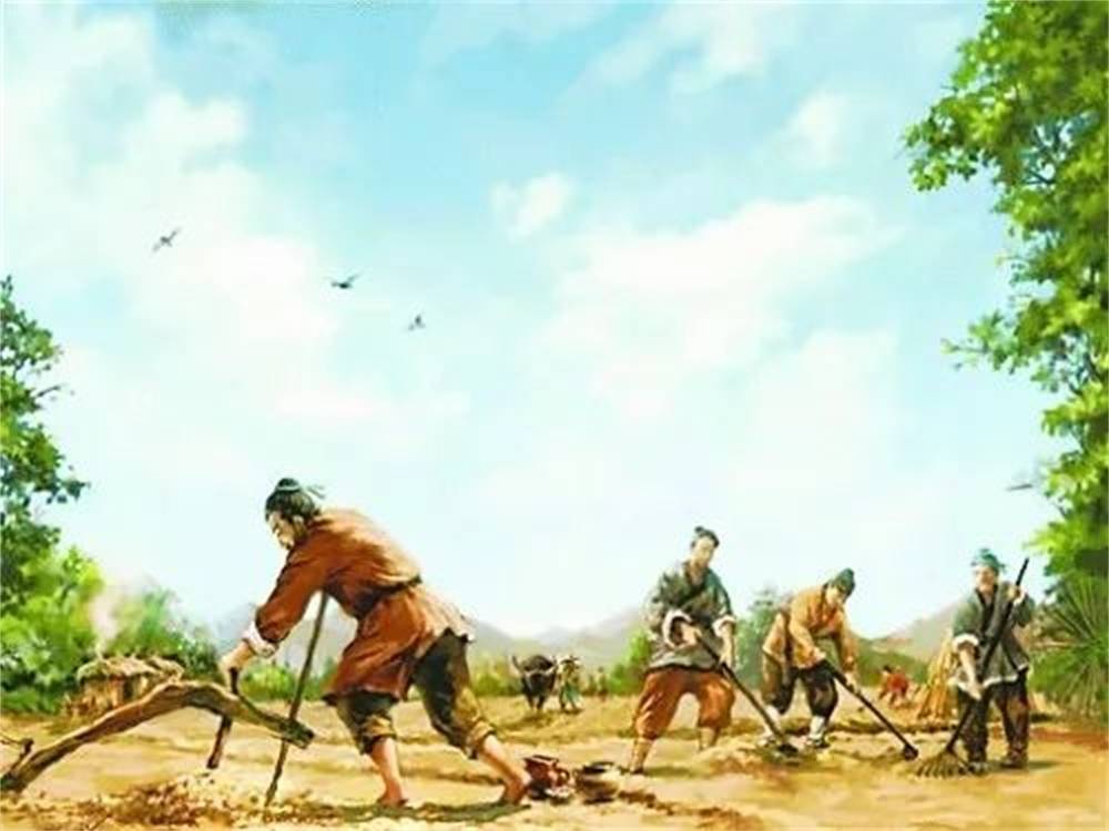 从《诗经》谈西周的农业社会,一个理想与现实相互交织的社会_手机搜狐