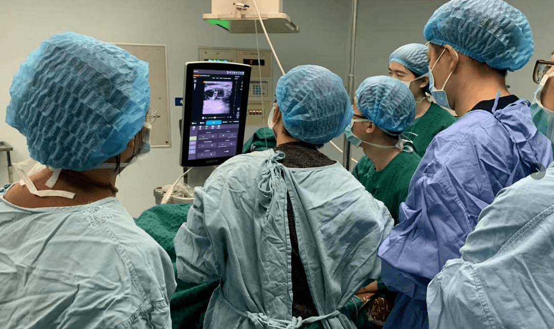 蒲公英计划:广州中医药大学第一附属医院_神经