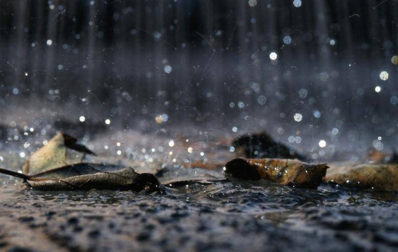 原创农村俗语立秋下雨人欢乐处暑下雨万人愁为什么这么说