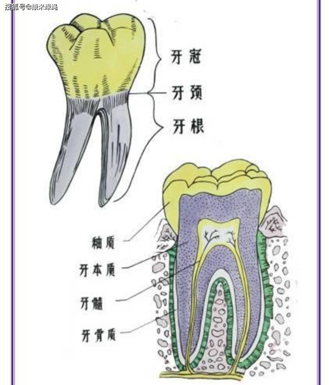牙齿疼痛变色的真相_牙髓炎