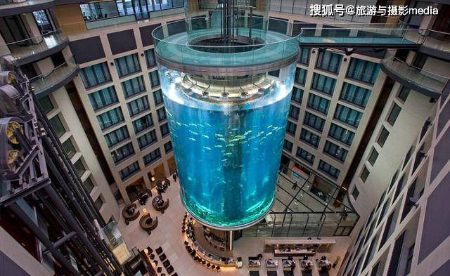 世界上最大的水族馆，建在酒店大堂里面？拥有2500种热带鱼类