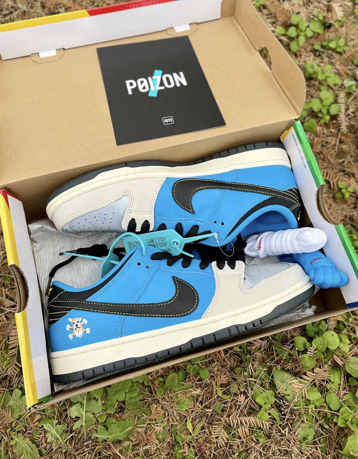 nikedunksb忠犬八公测评