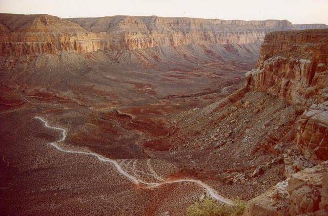 美国最后的部落：在大峡谷内生活了800年，仍用骡子运输信件