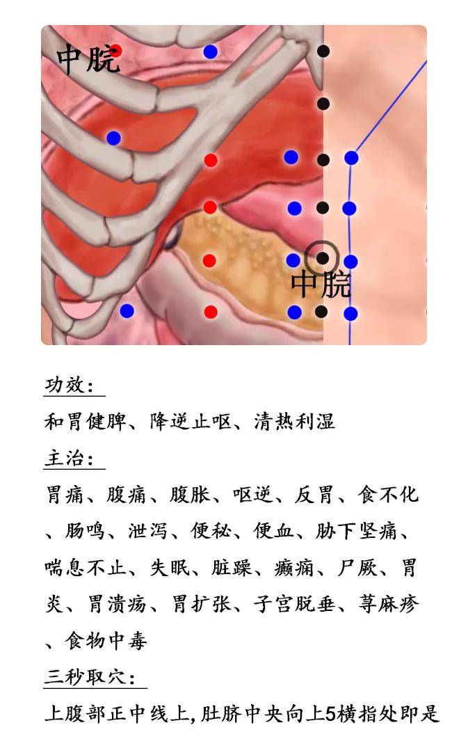 气海穴取穴